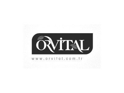 Orvital-Datakod Northstar